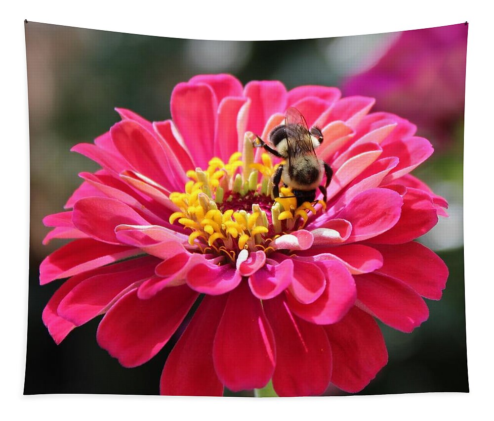 Zinnia Tapestry featuring the photograph Bee On Pink Flower by Cynthia Guinn