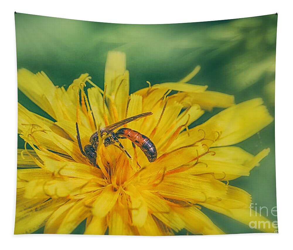 Halictid Bee Tapestry featuring the photograph Bee Pollinator by Jivko Nakev
