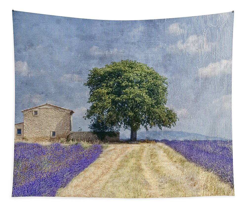 Beautiful Day Tapestry featuring the photograph Belle Journee by Joachim G Pinkawa