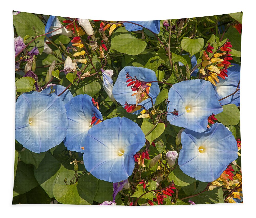 Scenic Tapestry featuring the photograph Bhubing Palace Gardens Morning Glory DTHCM0433 by Gerry Gantt