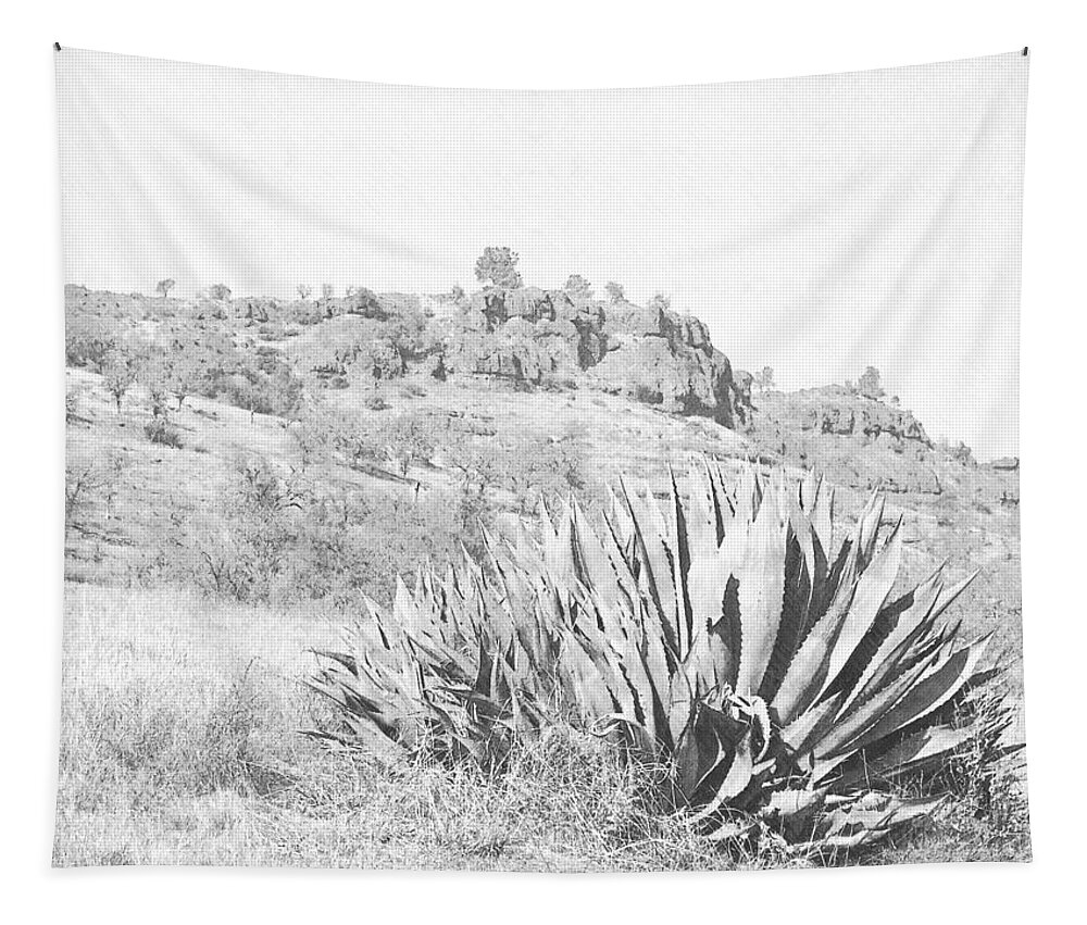 Bidwell Park Cactus Tapestry featuring the photograph Bidwell Park Cactus by Frank Wilson