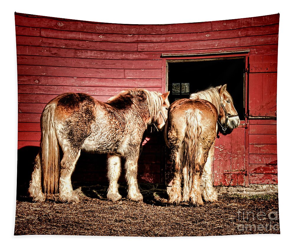 Draft Tapestry featuring the photograph Big Horses by Olivier Le Queinec