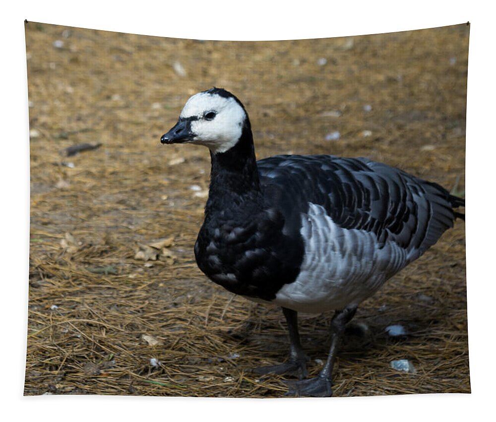 Goose Tapestry featuring the photograph Bird - Grey Goose by Scott Lyons
