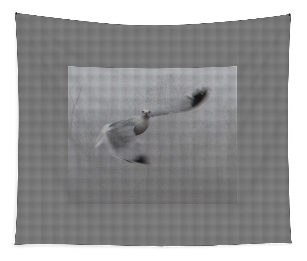 Gull Tapestry featuring the photograph Bird in Flight by Denise Cicchella