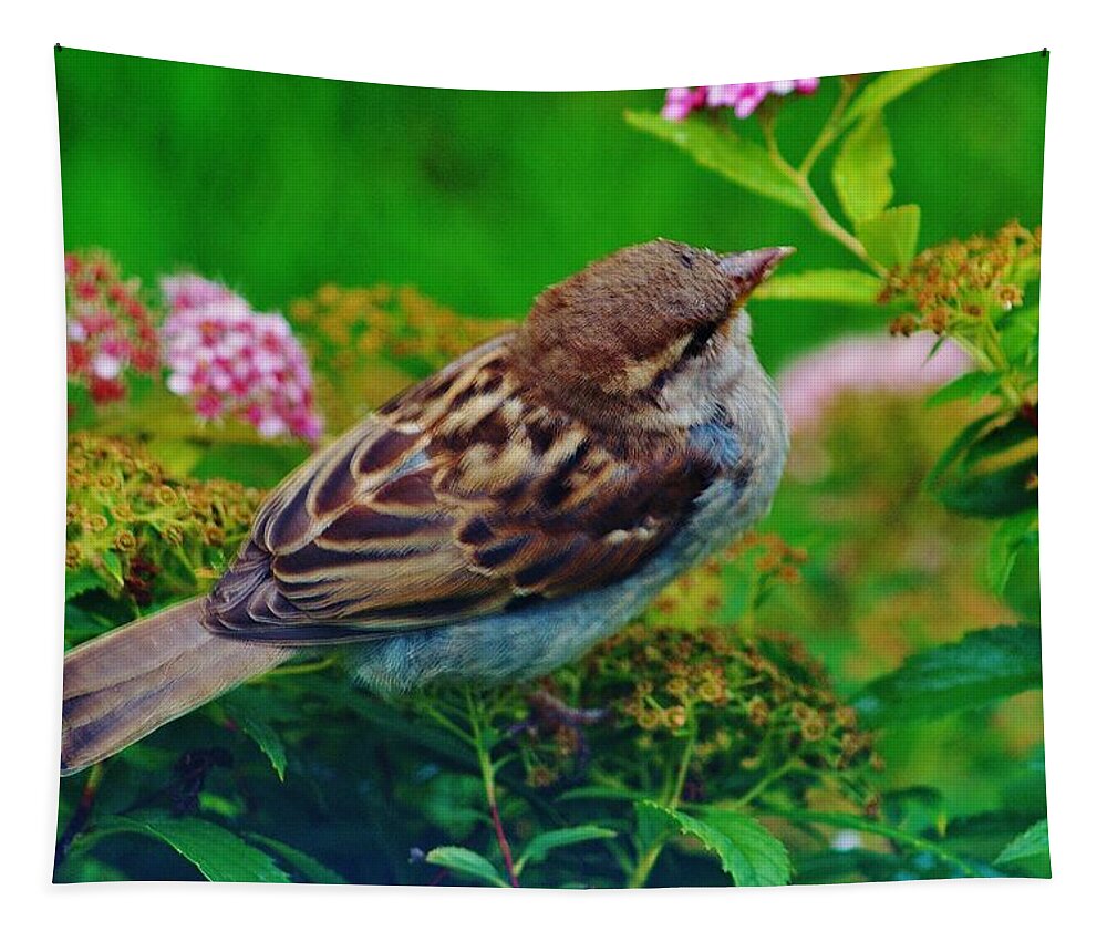 Bird Tapestry featuring the photograph Bird In The Bush by Daniel Thompson