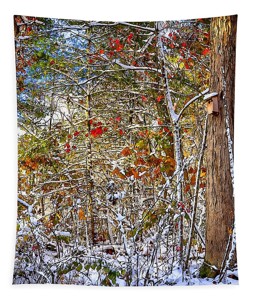 Snow Tapestry featuring the mixed media Birdhouse by John Haldane