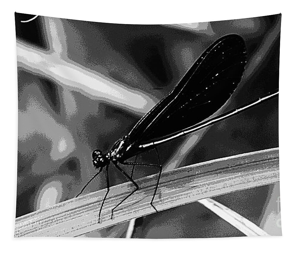Insect Tapestry featuring the photograph Black And White Damselfly by Donna Brown