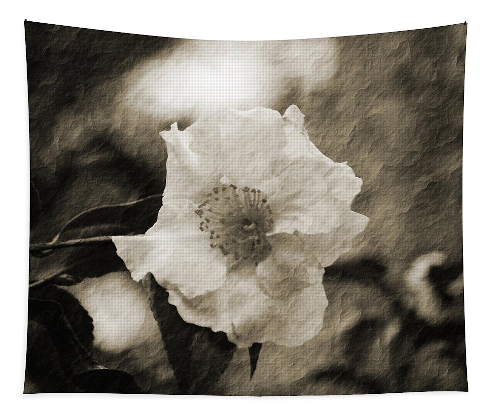 Abstract Tapestry featuring the photograph Black and White Flower with texture by Maggy Marsh