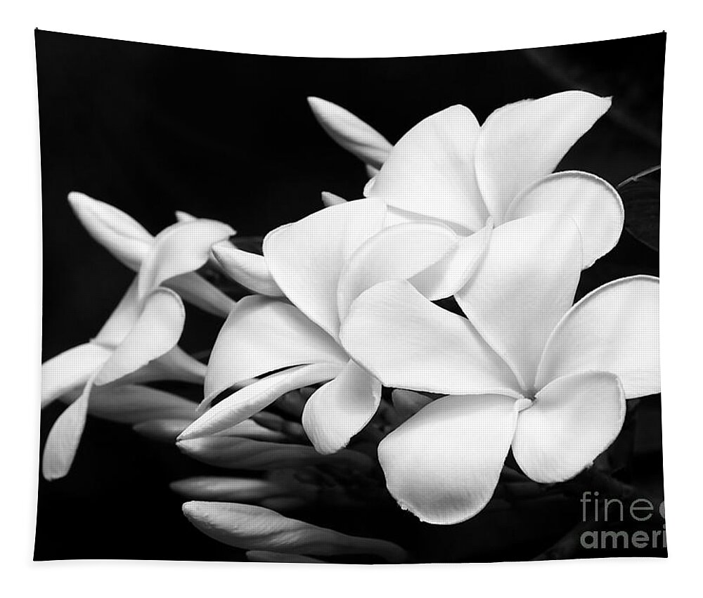 Macro Tapestry featuring the photograph Black and White Lightning by Sabrina L Ryan