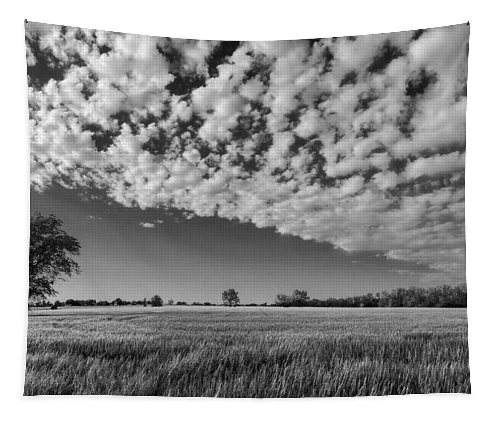 Black And White Tapestry featuring the photograph Black and White Wheat Field by Eric Benjamin