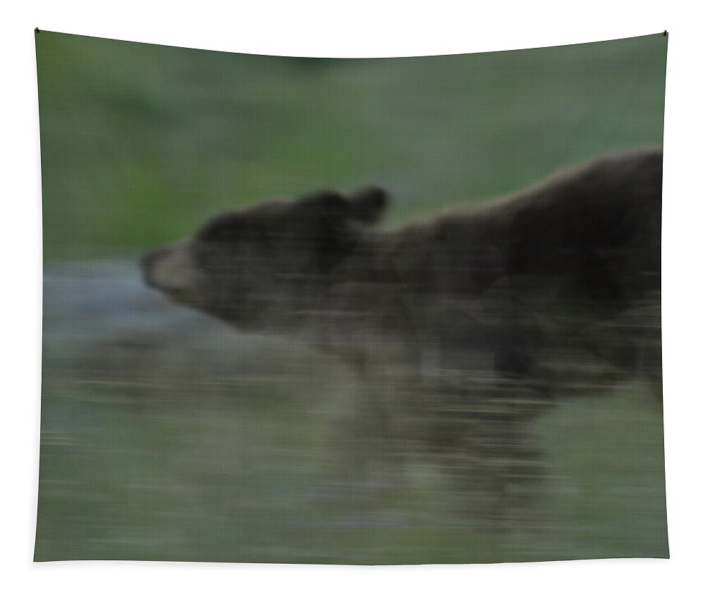 Black Bear Tapestry featuring the photograph Black Bear Cub by Frank Madia