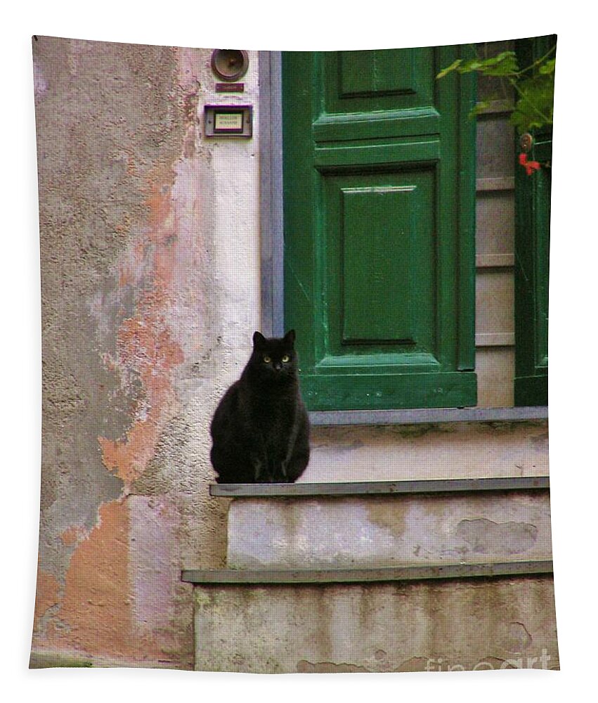 Black Car Tapestry featuring the photograph Black Cat by Michele Penner