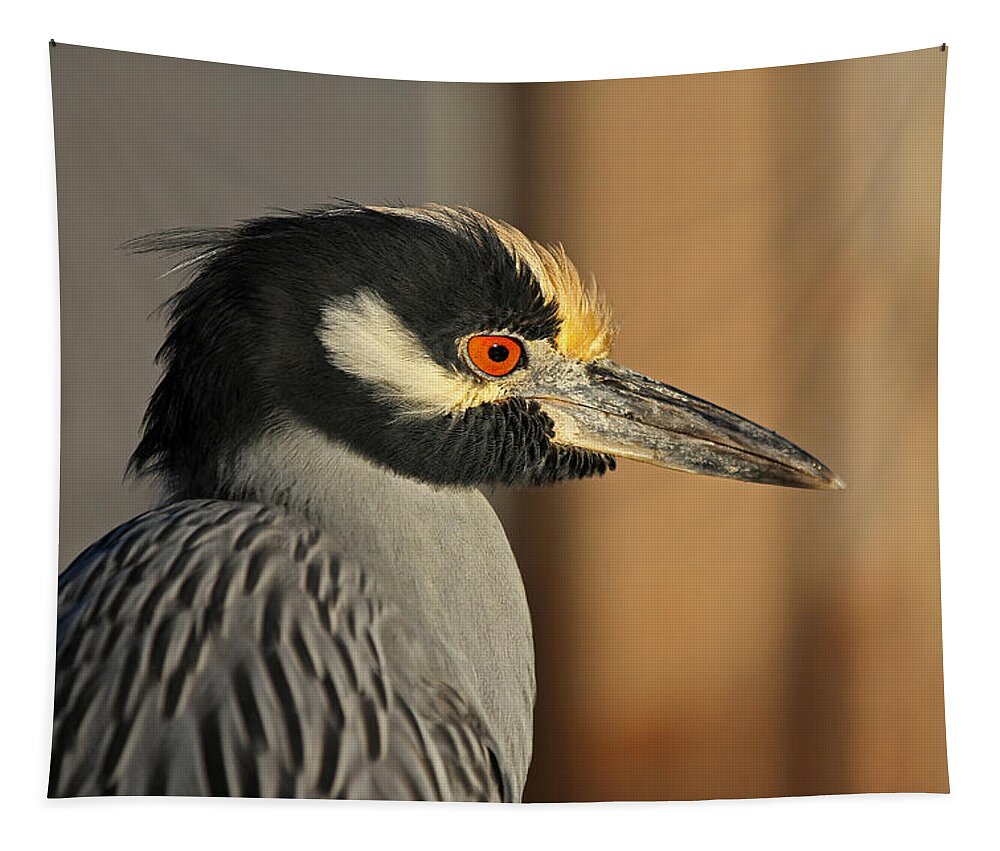 Heron Tapestry featuring the photograph Black Crowned Night Heron by Juergen Roth