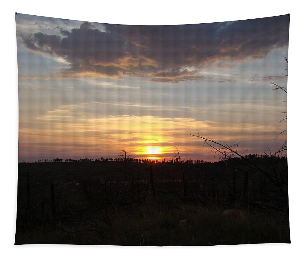 Sunset Tapestry featuring the photograph Black Hills Sunset III by Cathy Anderson