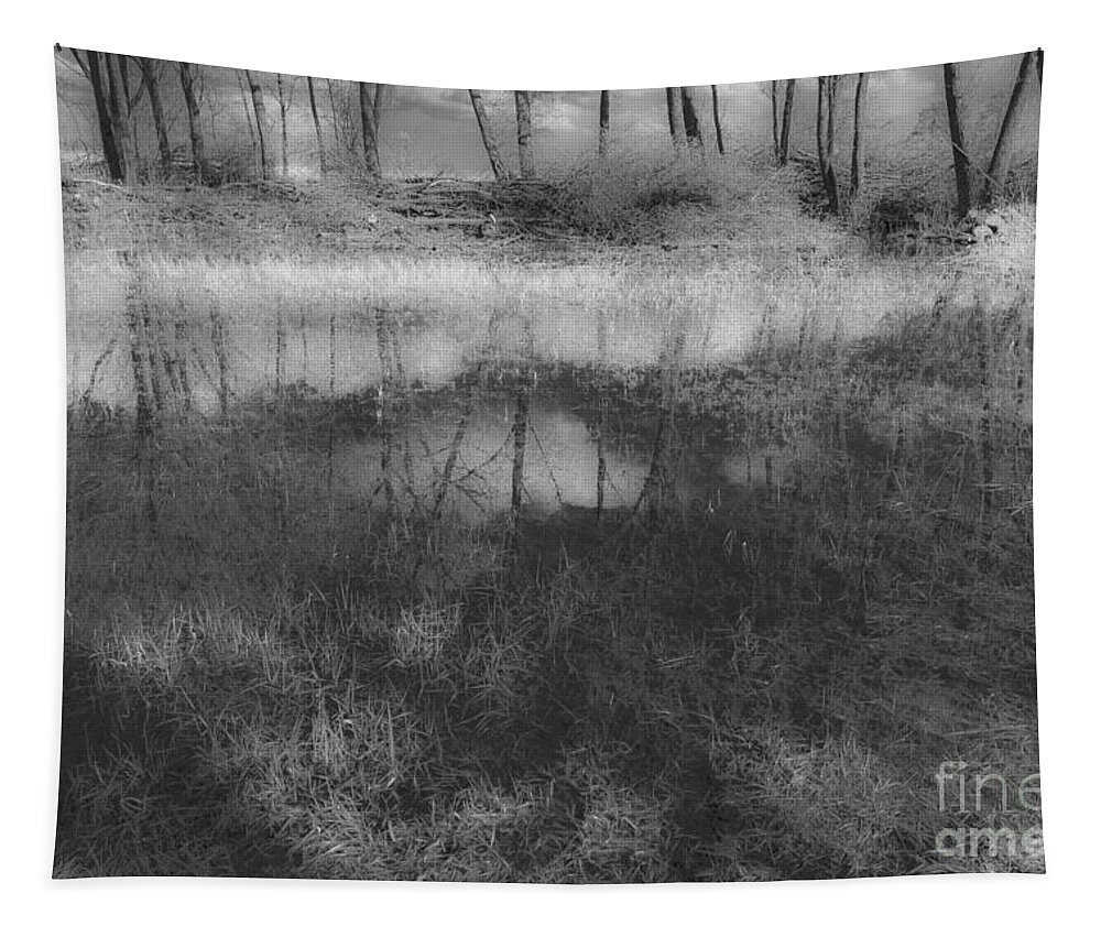 Reeuwijkse Hout Tapestry featuring the photograph Black is beautiful-2 by Casper Cammeraat