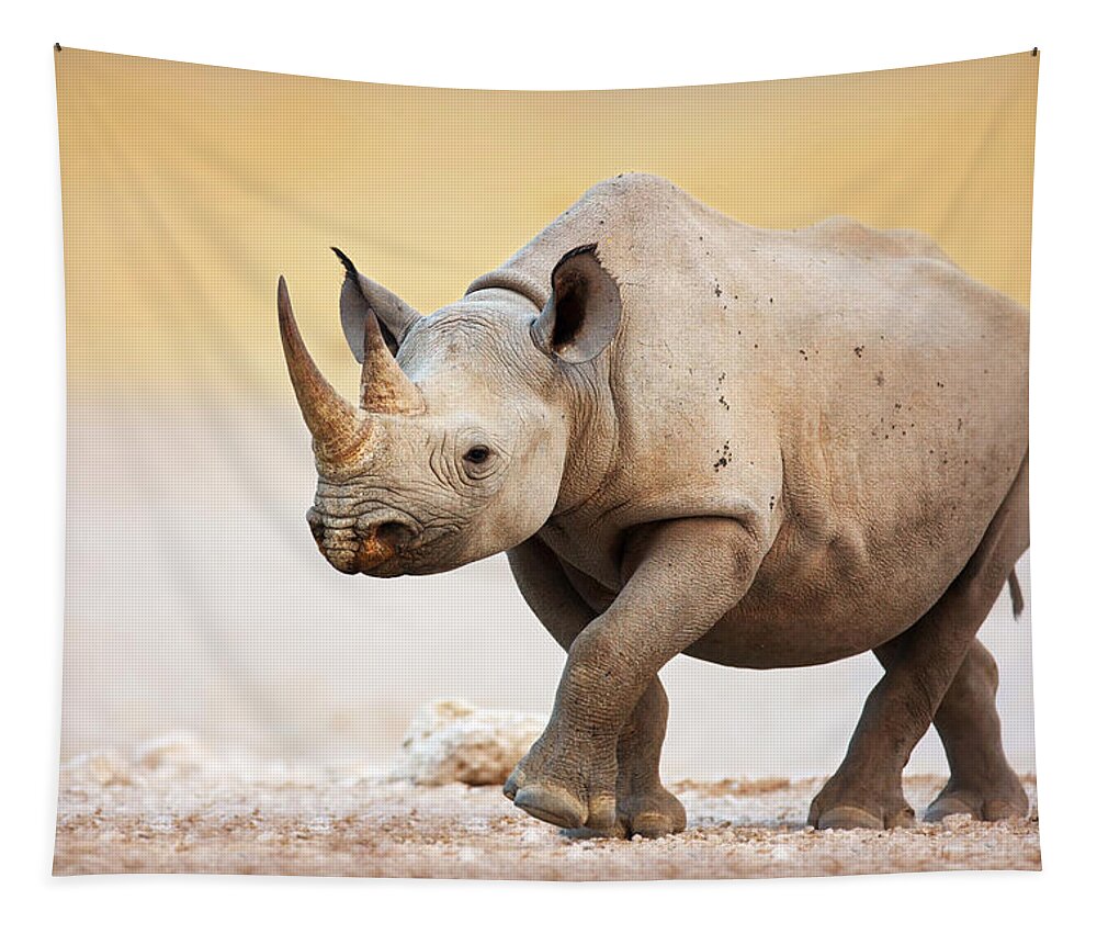 Square-lipped Tapestry featuring the photograph Black Rhinoceros by Johan Swanepoel