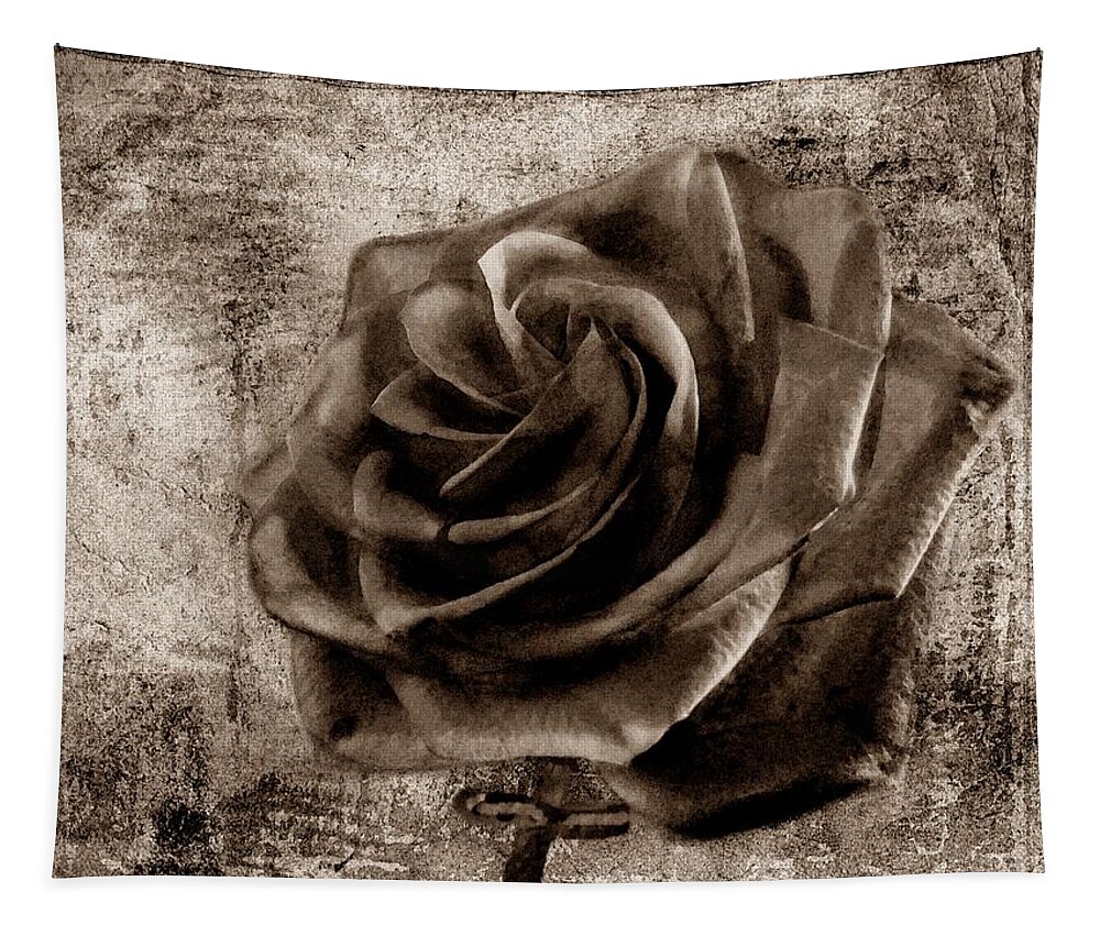 Rose Tapestry featuring the photograph Black Rose Eternal Sepia by David Dehner