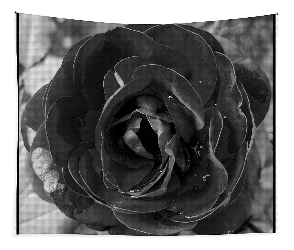 Awakened Tapestry featuring the photograph Black Rose by Nina Ficur Feenan