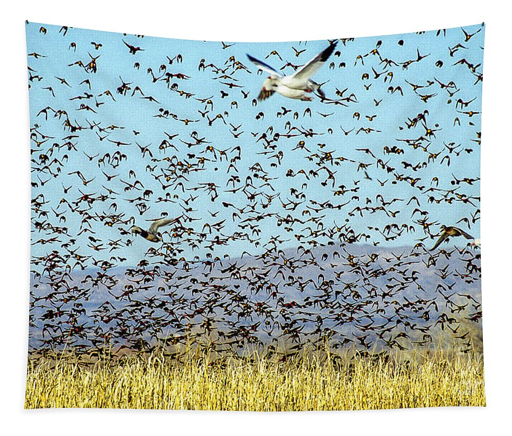 Birds Tapestry featuring the photograph Blackbirds and Geese by Steven Ralser