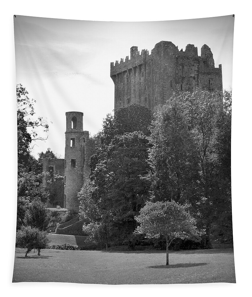 Ireland Tapestry featuring the photograph Blarney Castle by Mike McGlothlen