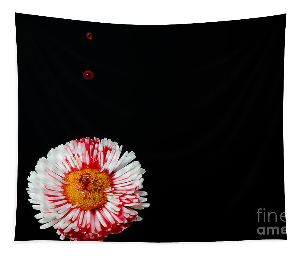 Flower Tapestry featuring the photograph Bleeding flower by Mats Silvan