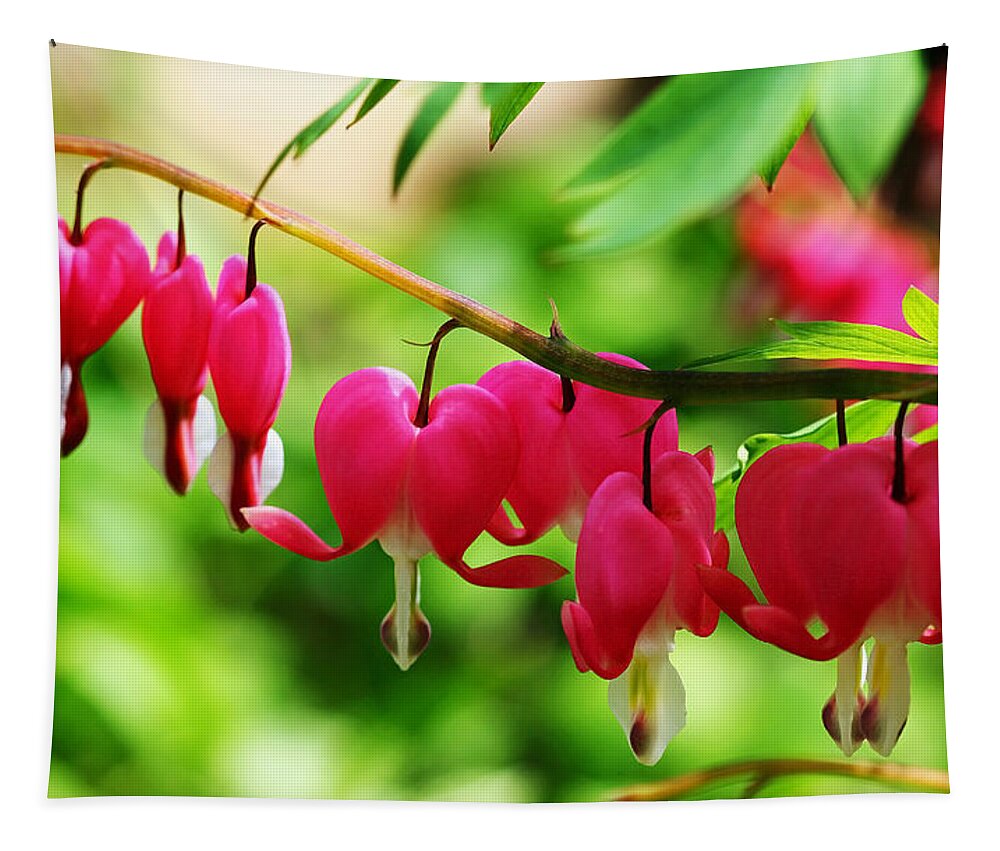 Bleeding Hearts Tapestry featuring the photograph Romantic Bleeding Hearts by Debbie Oppermann