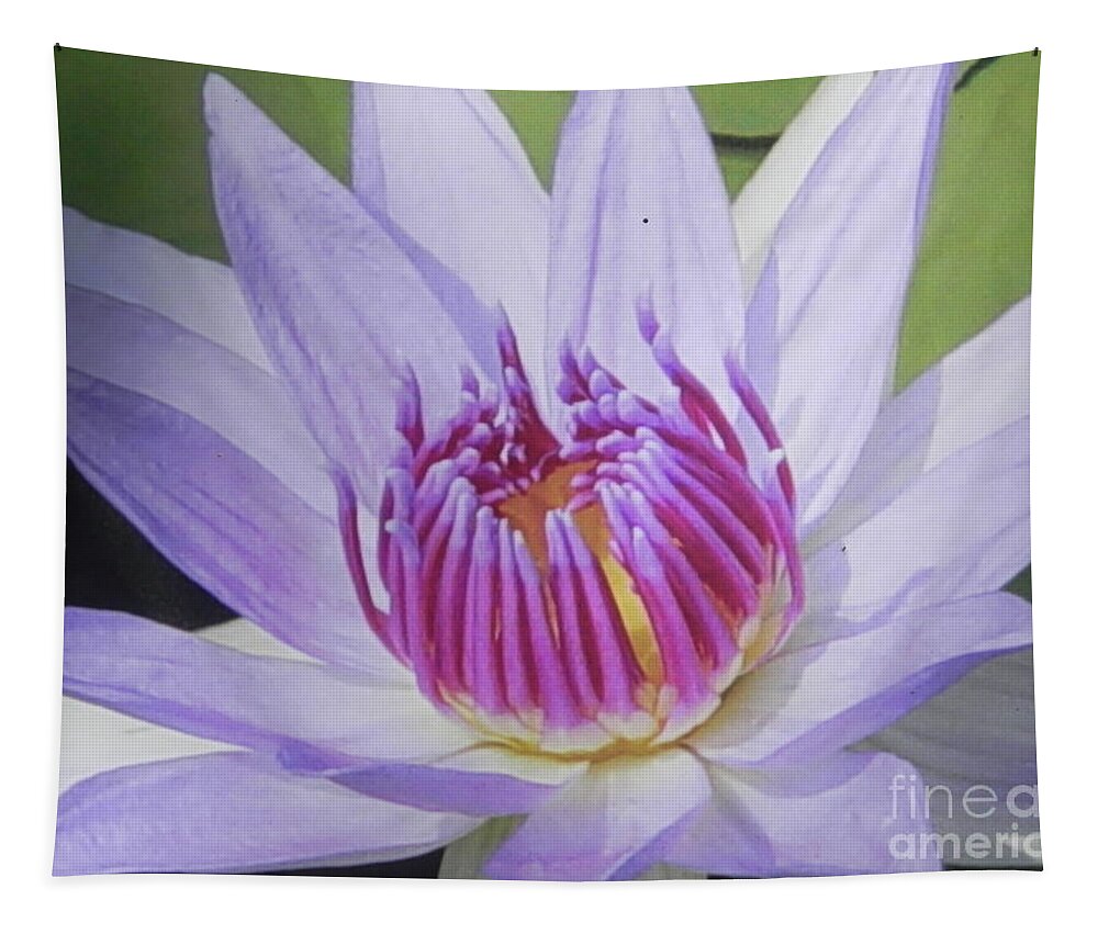 Photograph Tapestry featuring the photograph Blooming For You by Chrisann Ellis
