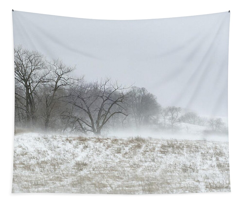 Winter Landscape Tapestry featuring the photograph Blowing Snow Over Fields and Forest by Lynn Hansen