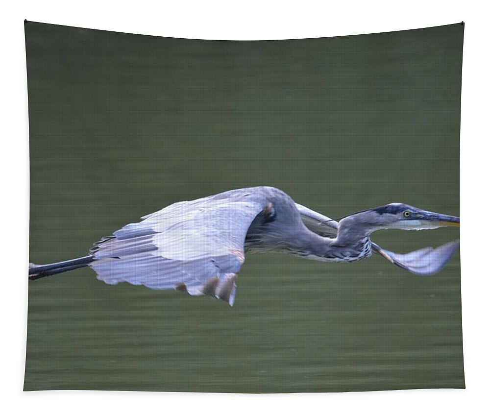 Blue Angel Tapestry featuring the photograph Blue Angel by Maria Urso
