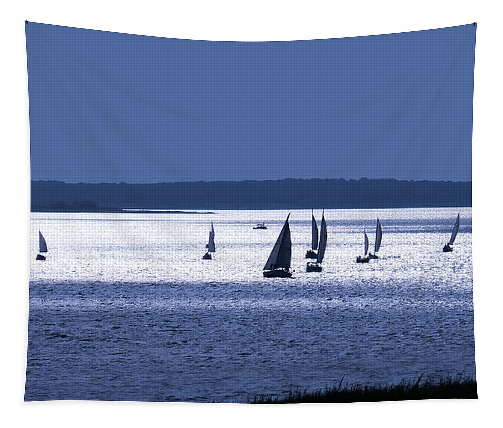 Sailing Tapestry featuring the digital art Blue Armada II by Douglas Pittman