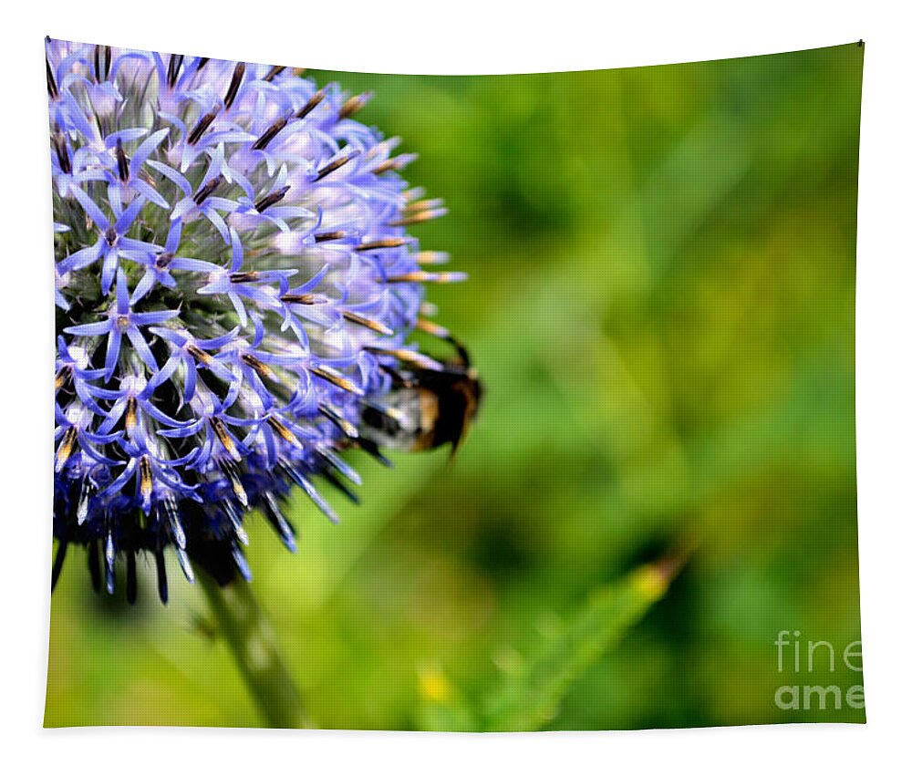 Art Tapestry featuring the photograph Blue Ball Flower by Scott Lyons