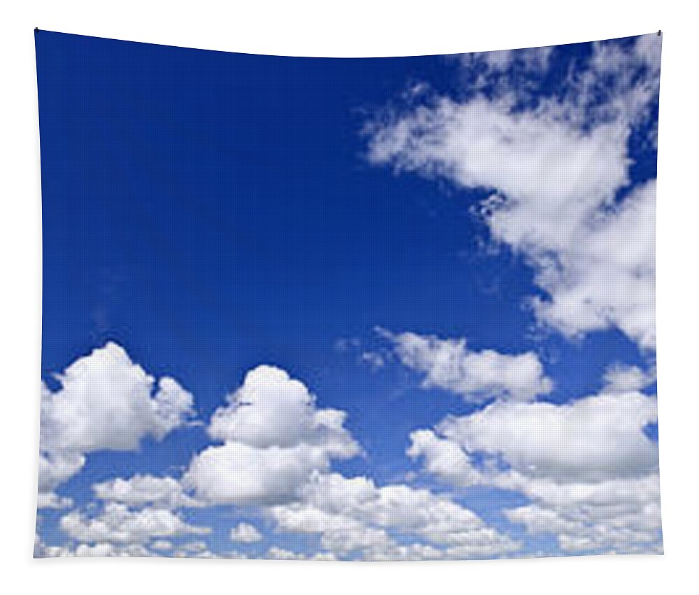 Sky Tapestry featuring the photograph Blue cloudy sky panorama by Elena Elisseeva