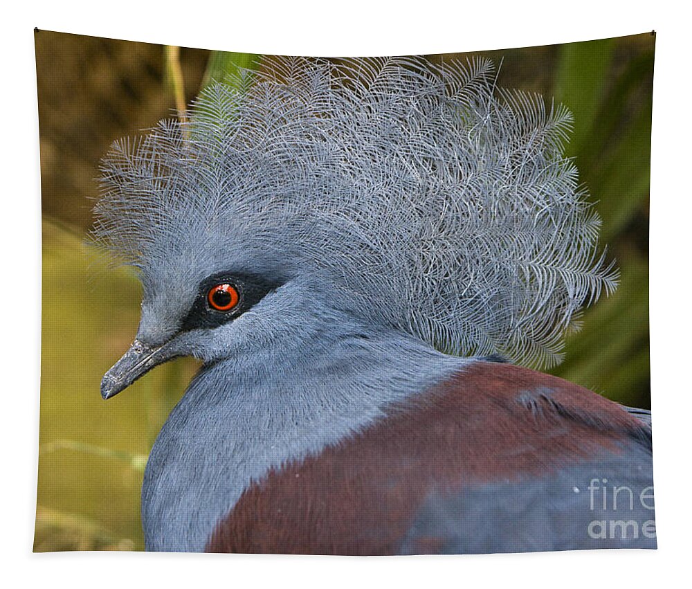 Pigeon Tapestry featuring the photograph Blue-Crowned Pigeon by David Millenheft