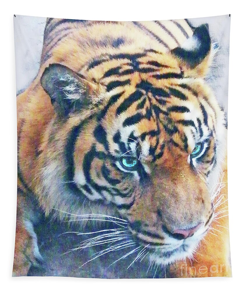 Tiger Tapestry featuring the photograph Blue Eyed Tiger by Lizi Beard-Ward