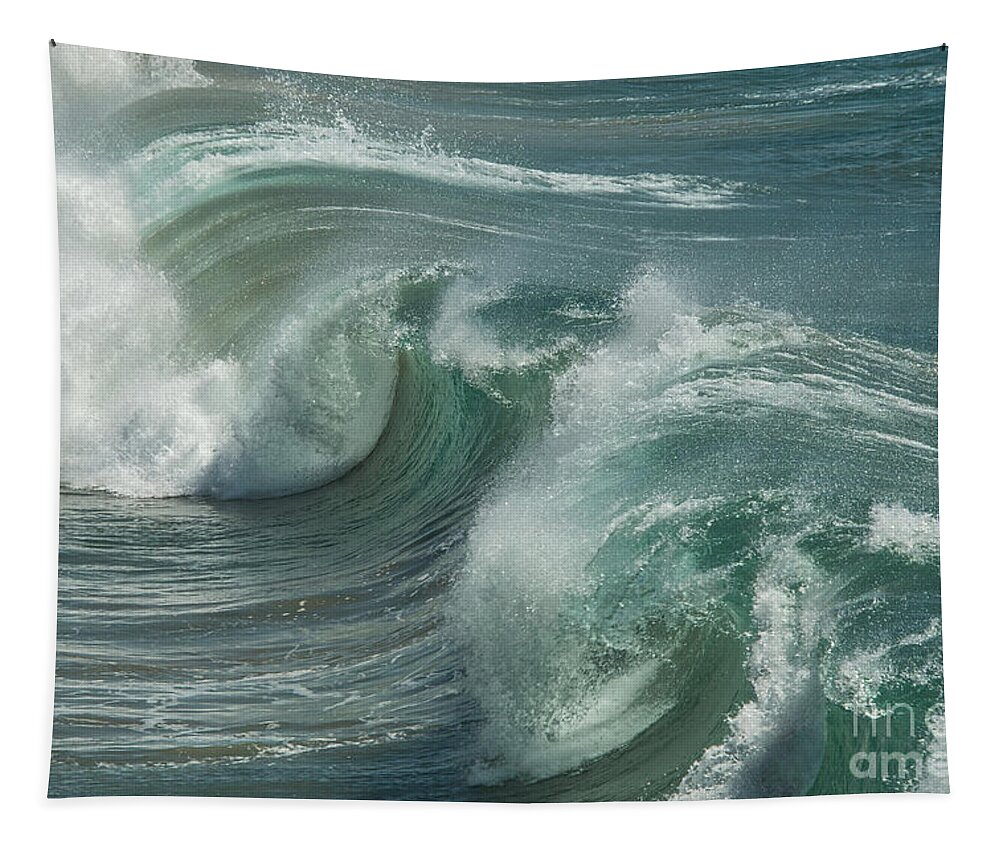 Teal Tapestry featuring the photograph Blue Glass by Ana V Ramirez