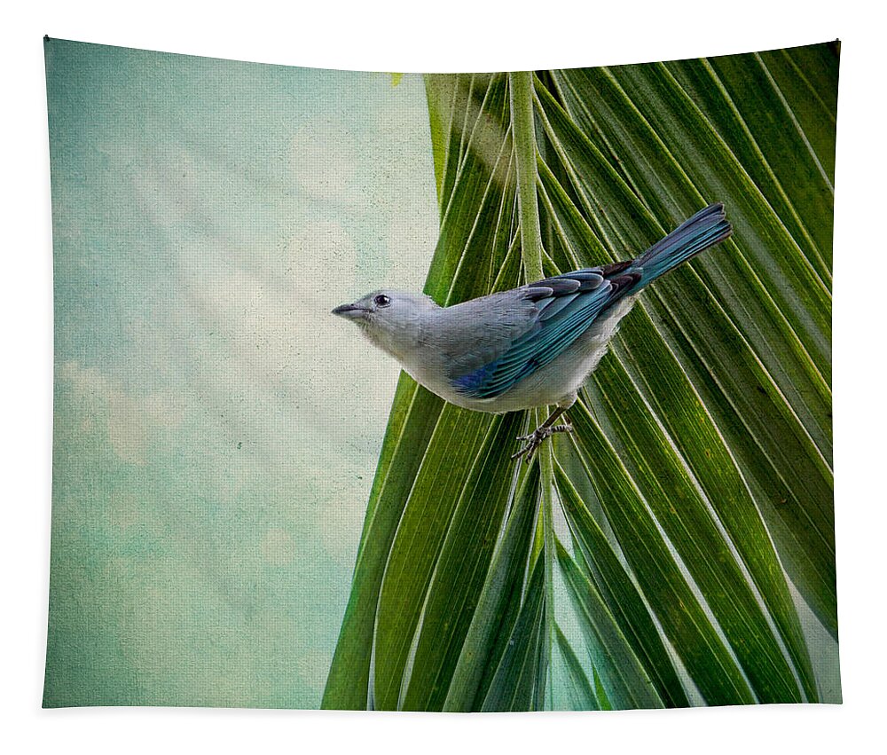Tanagers Tapestry featuring the photograph Blue Grey Tanager on a Palm Tree by Peggy Collins