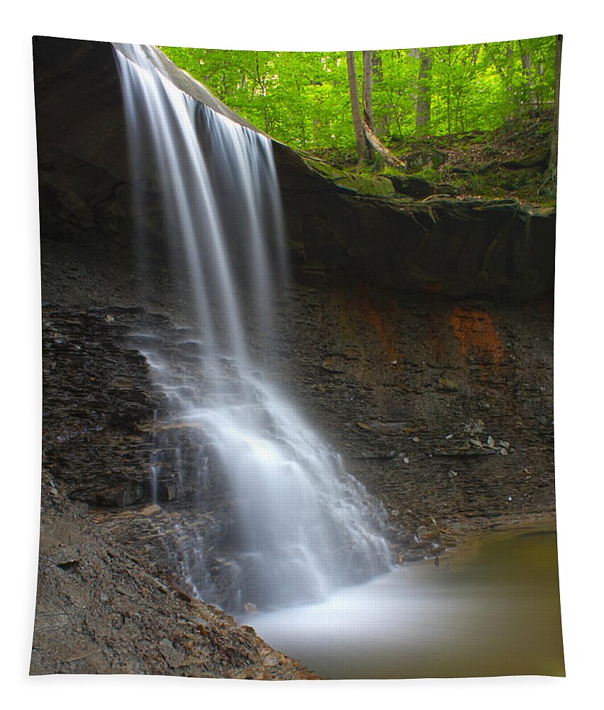 Nunweiler Tapestry featuring the photograph Blue Hen Falls by Nunweiler Photography