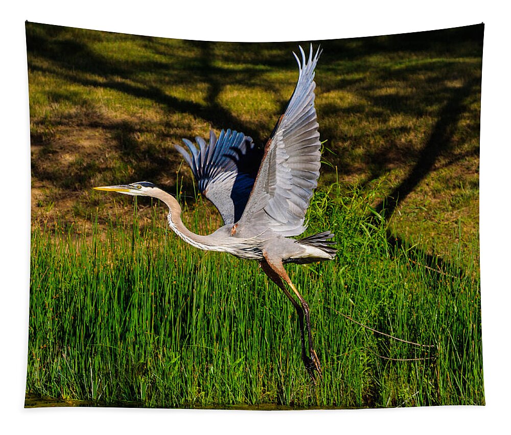 Blue Heron Tapestry featuring the photograph Blue Heron in flight by John Johnson