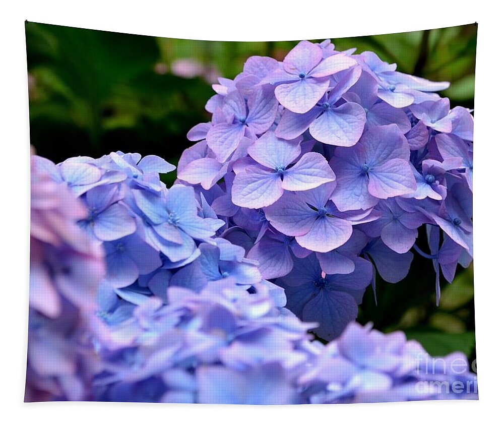 Blue Tapestry featuring the photograph Blue Hydrangea by Scott Lyons