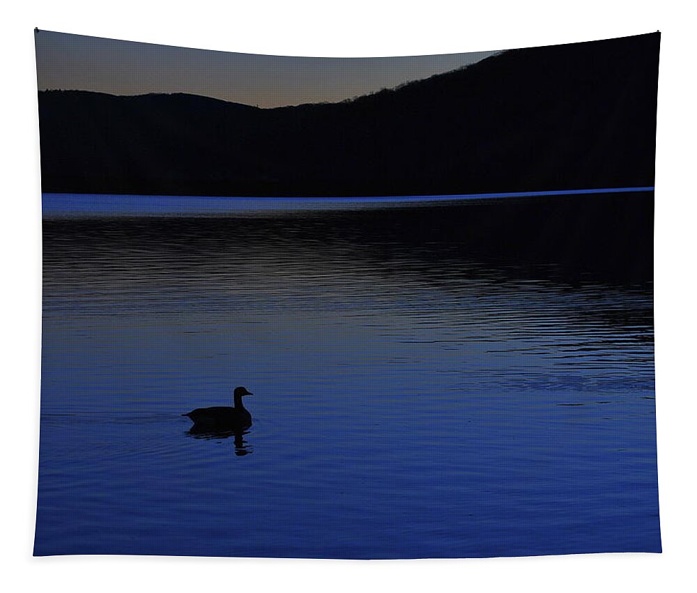 Blue Hour Tapestry featuring the photograph Blue by Judy Salcedo