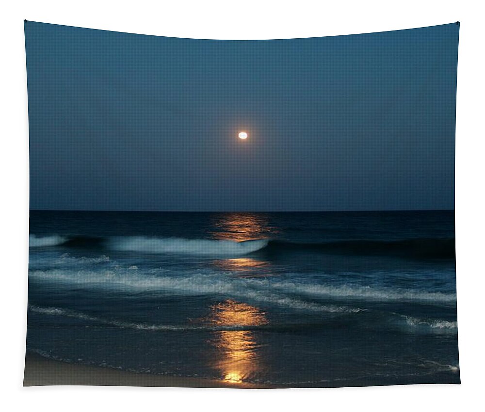 Blue Tapestry featuring the photograph Blue Moon by Cynthia Guinn