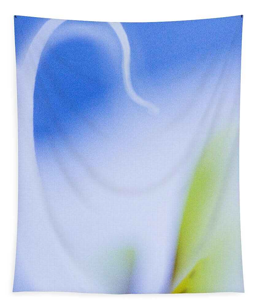 Orchid Tapestry featuring the photograph Blue Orchid Abstract by Bradley R Youngberg