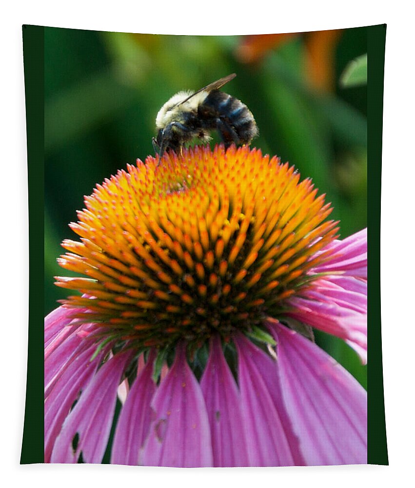 Bee Tapestry featuring the photograph Blue Striped Bee by Kristin Hatt