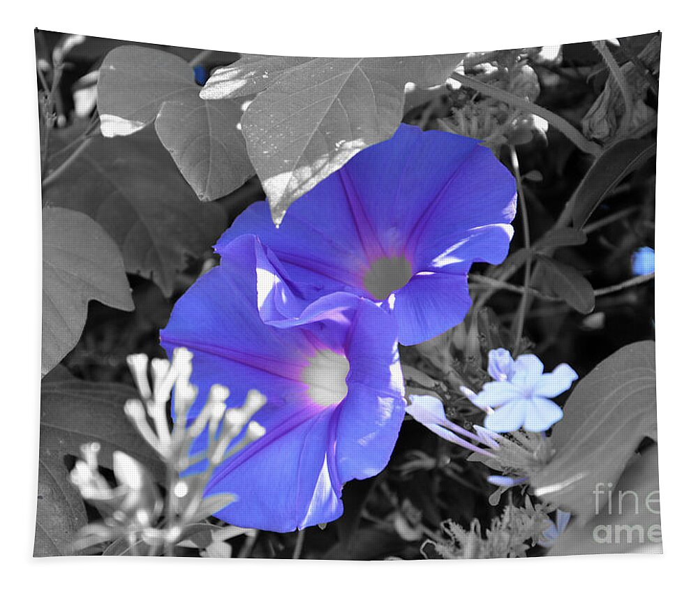 Morning Glory Tapestry featuring the photograph Blue Twins by Ramona Matei
