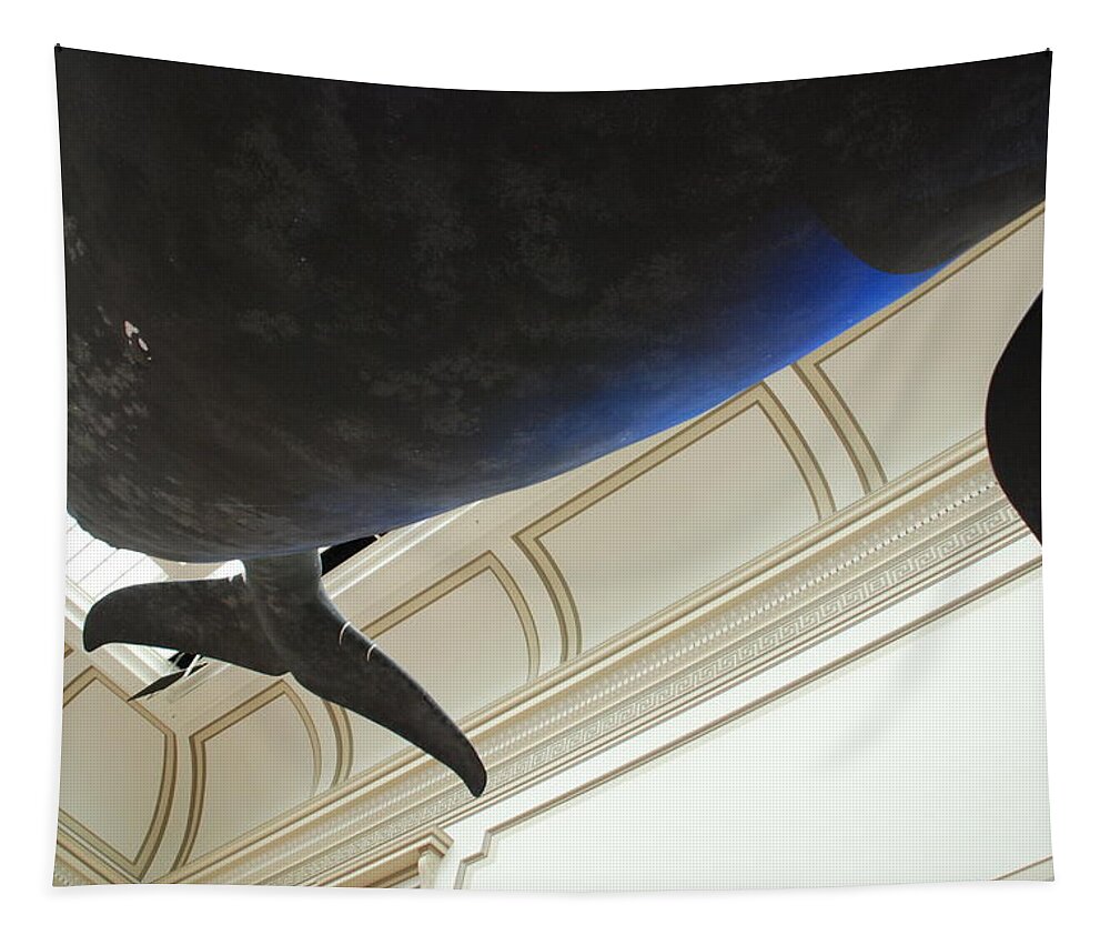 Blue Whale Tapestry featuring the photograph Blue Whale Experience by Kenny Glover