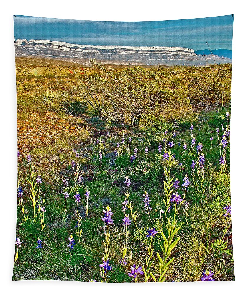Bluebonnets And Creosote Bushes In Big Bend National Park Tapestry featuring the photograph Bluebonnets and Creosote Bushes in Big Bend National Park-Texas by Ruth Hager