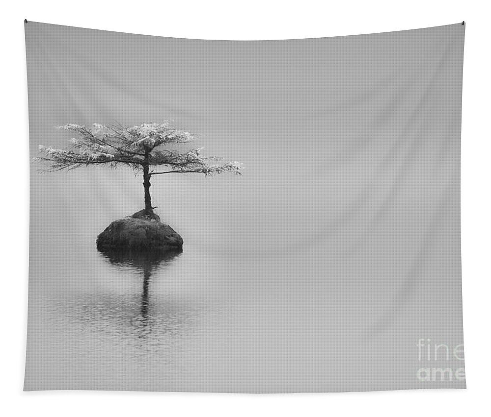 2013 Tapestry featuring the photograph Bonsai at Fairy Lake by Carrie Cole