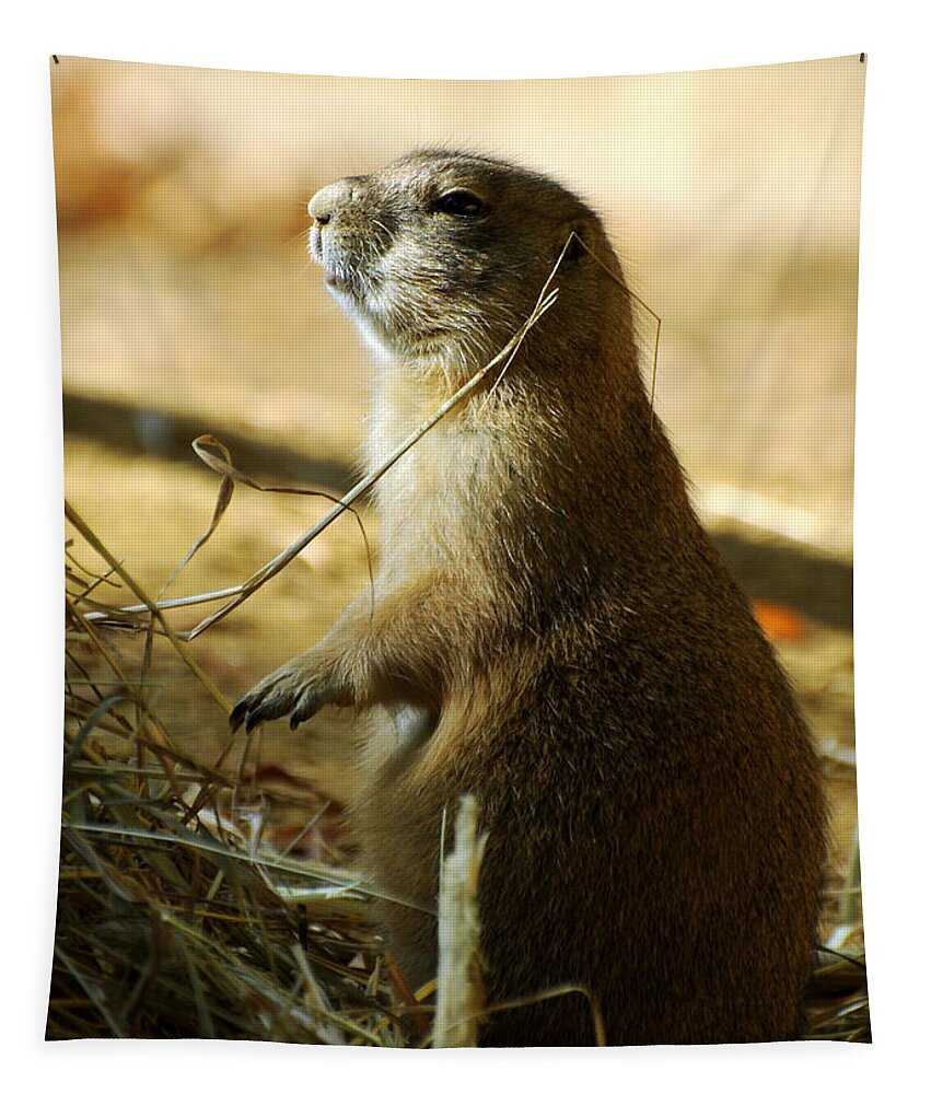Prairie Dog Tapestry featuring the photograph Born on the Prairie by Rebecca Sherman