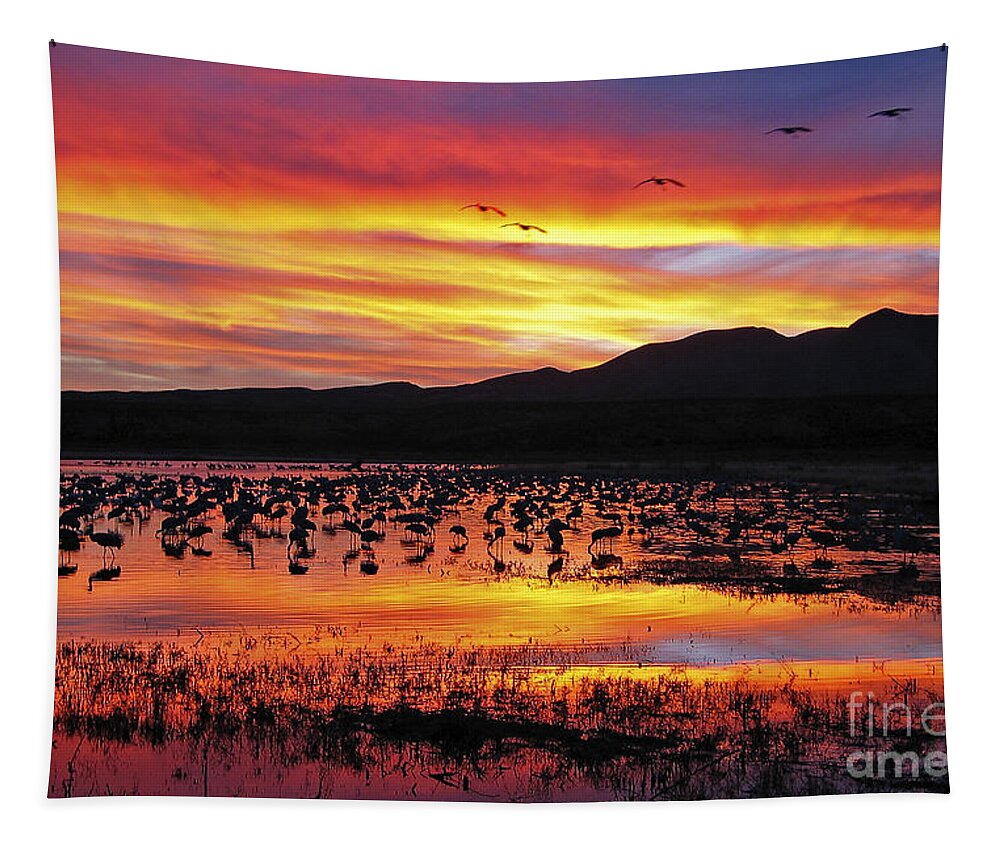 Ralser Tapestry featuring the photograph Bosque sunset II by Steven Ralser
