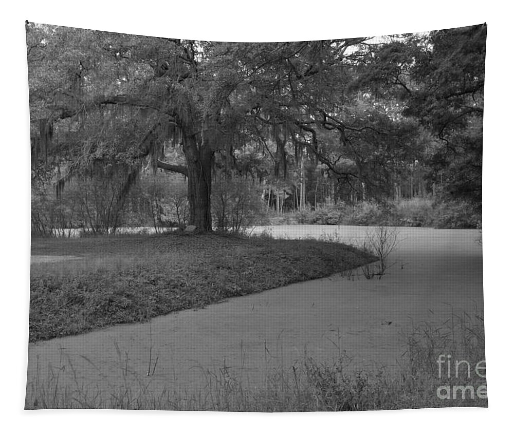 Botany Bay Tapestry featuring the photograph Botany Bay Black And White by Adam Jewell